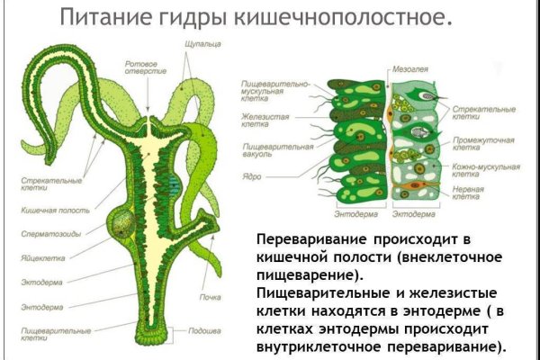 Кракен ссылка оригинал