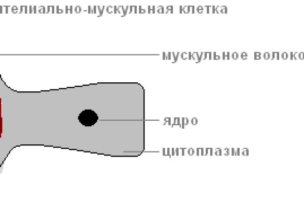 Кракен маркетплейс как зайти