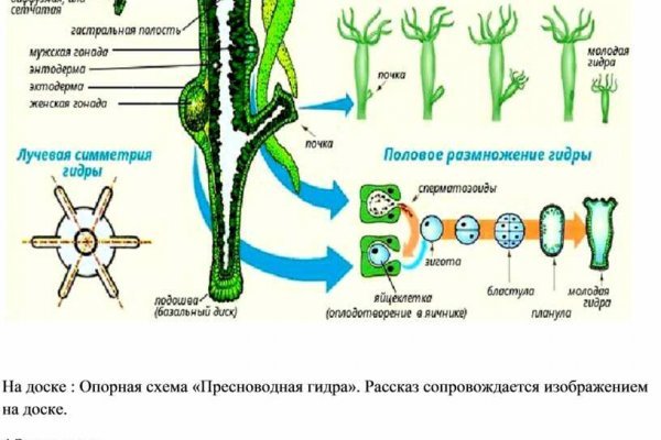 Кракен площадка торговая kr2web in